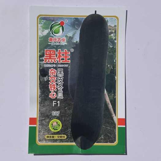 黑柱杂交铁心黑皮冬瓜种子杂交黑皮冬瓜高产厚肉杂交一代铁心腔小