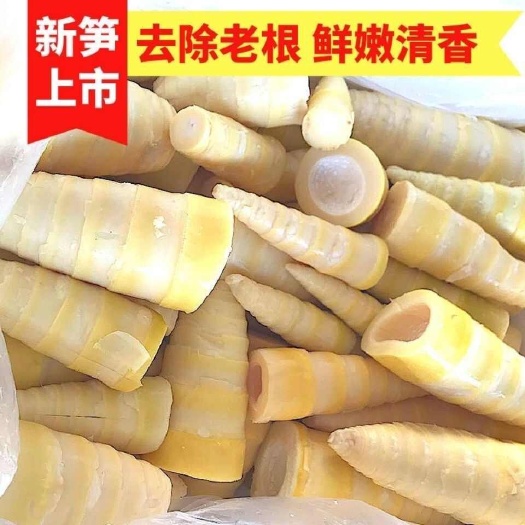 江陵县新鲜竹笋尖嫩笋冬笋新鲜火锅食材笋丝蔬菜包邮食用鲜嫩