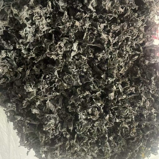 同心县宁夏吴忠一级地皮菜干货按需做货坏损包赔支持专线快递