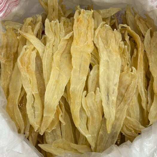 广州鱼胶阴阳条12-13头