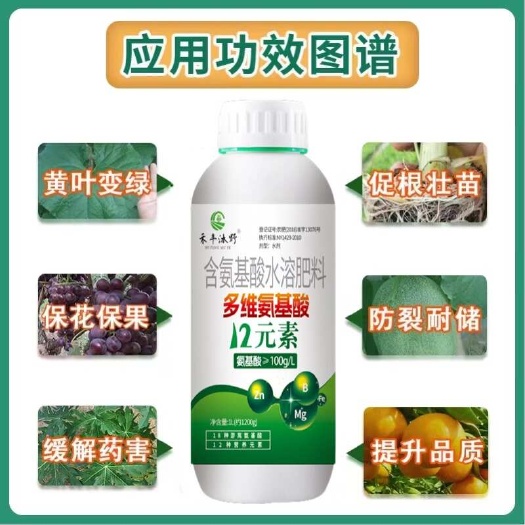 濰坊多維氨基酸水溶肥提苗壯棵?；ū９? title=