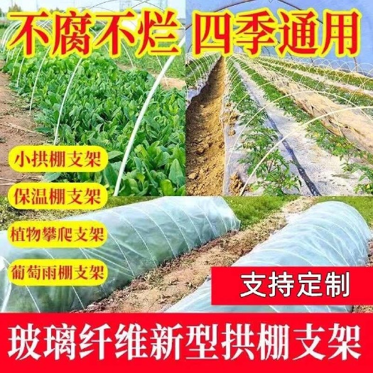 新型纤维杆小拱棚杆支撑杆蔬菜瓜果小拱棚拱杆小拱杆玻纤杆纤维棒