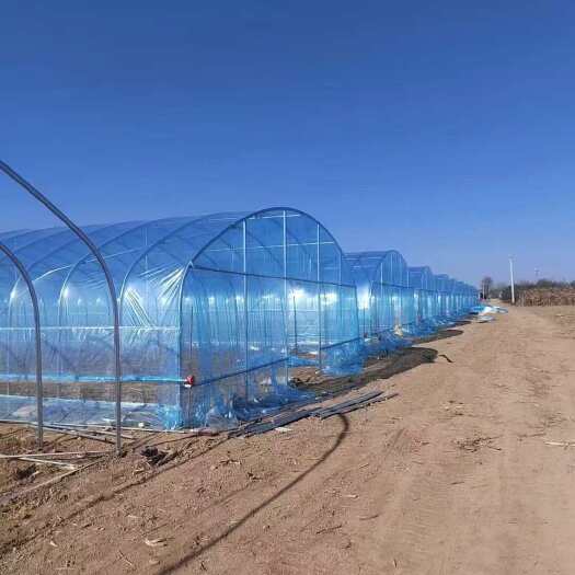 大棚厂直销蔬菜大棚 蓝莓大棚 各种温室大棚 规格齐全十年质保
