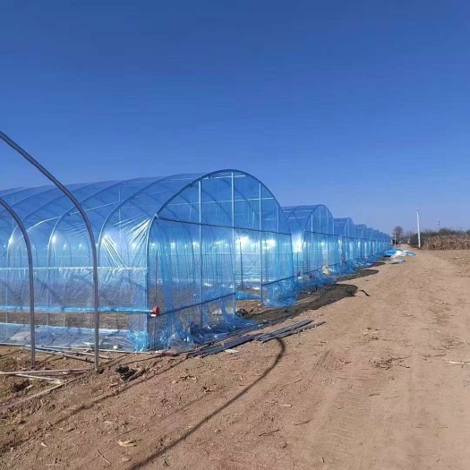 武汉大棚厂直销蔬菜大棚 蓝莓大棚 各种温室大棚 规格齐全十年质保