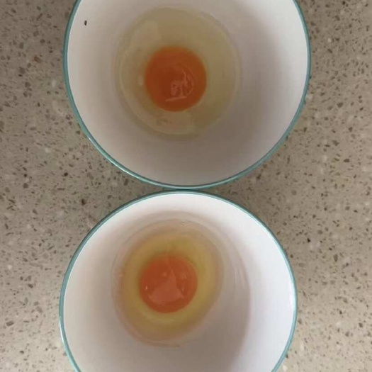 保定柴鸡蛋批发