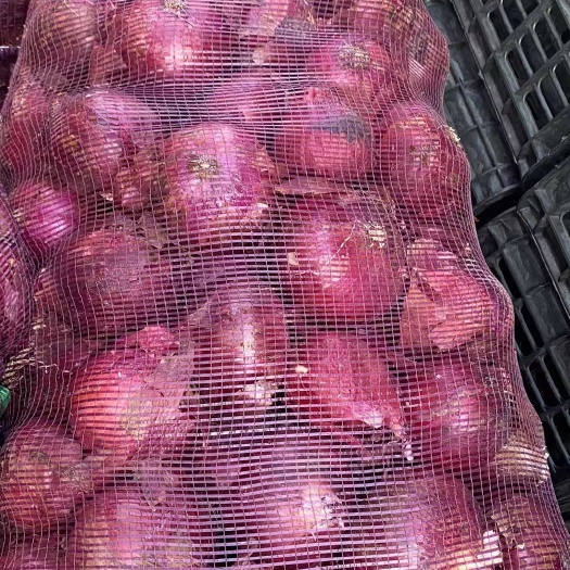 蒙自市红皮洋葱