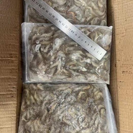 广州3-5规格河虾（带水）