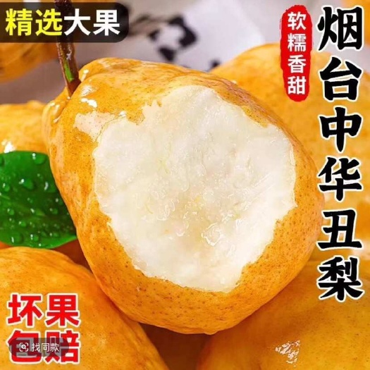 莱阳市【软糯香甜】烟台莱阳丑梨水果新鲜梨软糯香甜梨子批发 应季水果