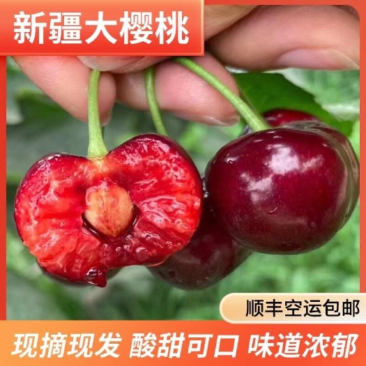 库车市阿克苏大樱桃，果园新鲜采摘，新疆产地直发。顺丰空运包邮