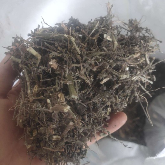 云南马鞭草切片干货水洗货