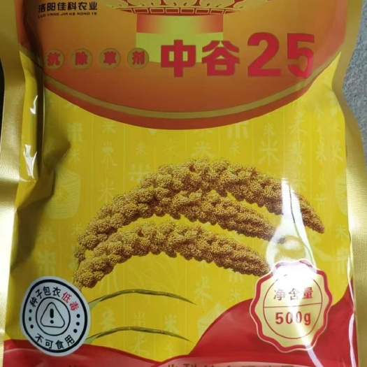 中谷25号：中国农科院培育而成，一级优质米，食品品鉴会获奖