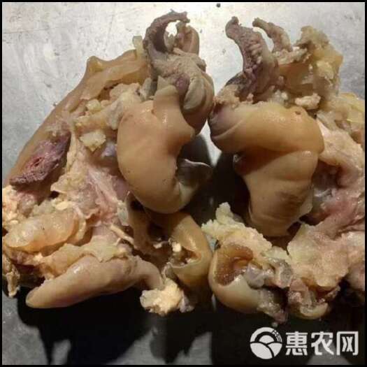 阳信县牛蹄筋   生熟都有厂家直发火烧毛的