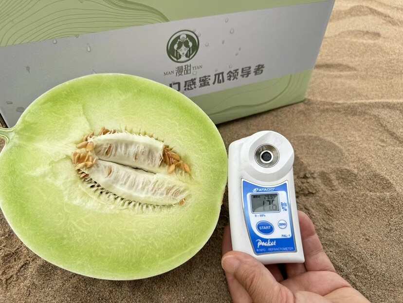 山东聊城产区…专收（电商货玉菇）产地直发 一手货源 美团多多