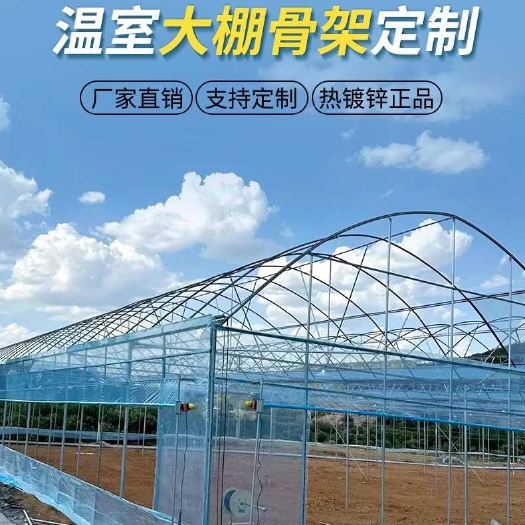 湖北温室大棚厂家直销 蔬菜种植大棚 草莓大棚 果蔬薄膜大棚