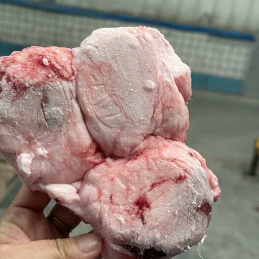 郑州羊腰