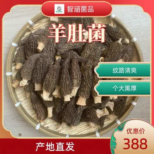 金堂县羊肚菌头茬中期肉质黑厚各种规格产地直发