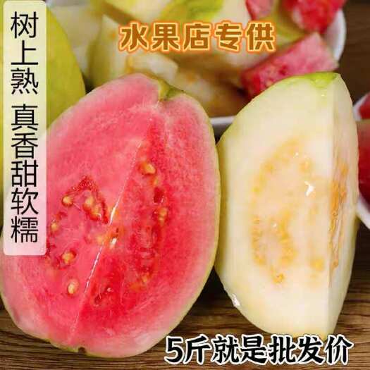 漳州福建精品奶油芭乐产地直发售后有保障