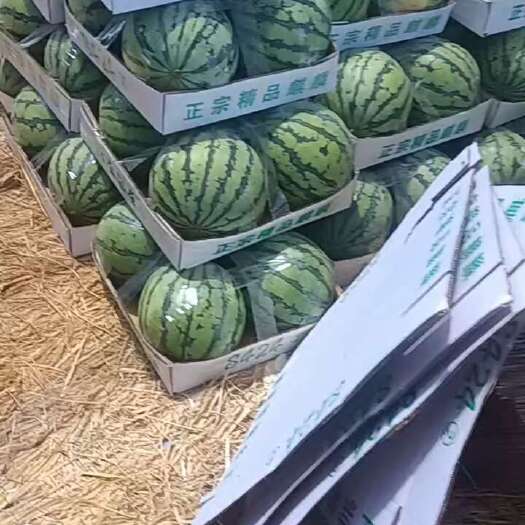 宿州美都西瓜