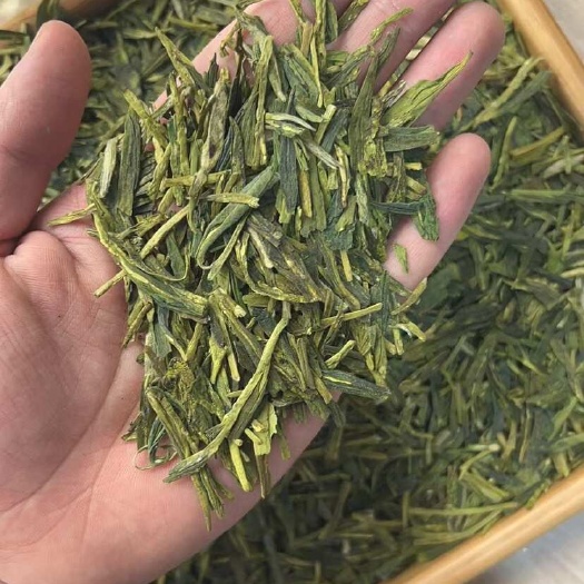松阳县刀切龙井