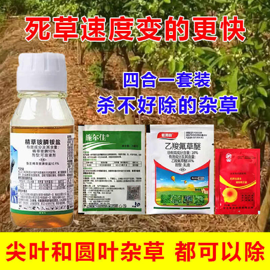 郑州荒地果园除草剂四合一除草剂组合芦苇水花生马齿苋杀抗性杂草农用