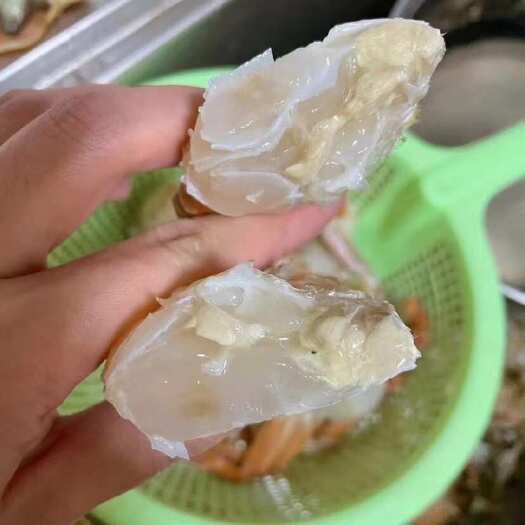 扁蟹排