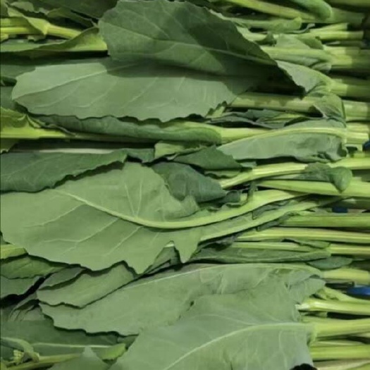 佛山板蓝根青菜