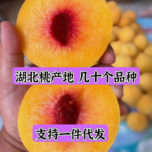 【湖北桃产地】黄桃 油桃 毛桃 血桃 蟠桃 量大 可一件代发