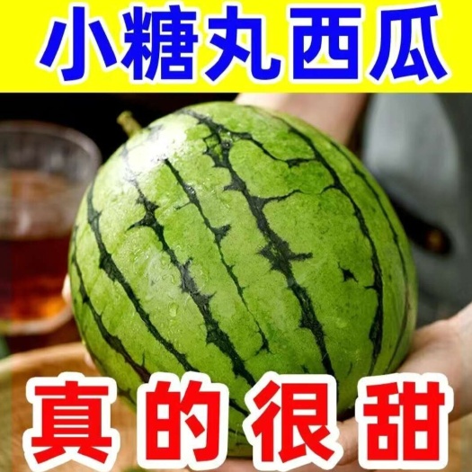 莘县小糖丸西瓜