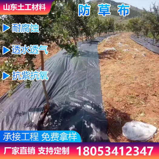 德州防草布 透气抗老化pp，pe除草布盖草布 支持定制 园艺地布