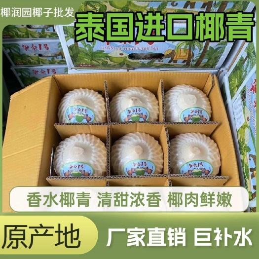 泰国香水椰青、清甜浓香，椰肉鲜嫩、货源充足，欢迎咨询订购
