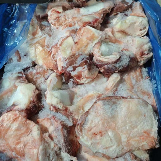 郑州白俄051022牛窝骨