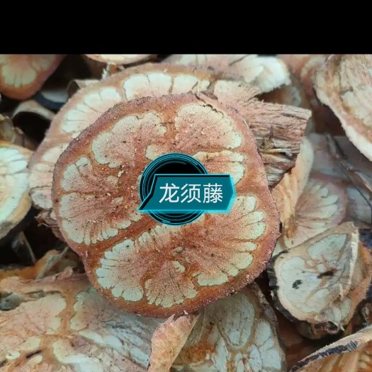 江门龙须藤