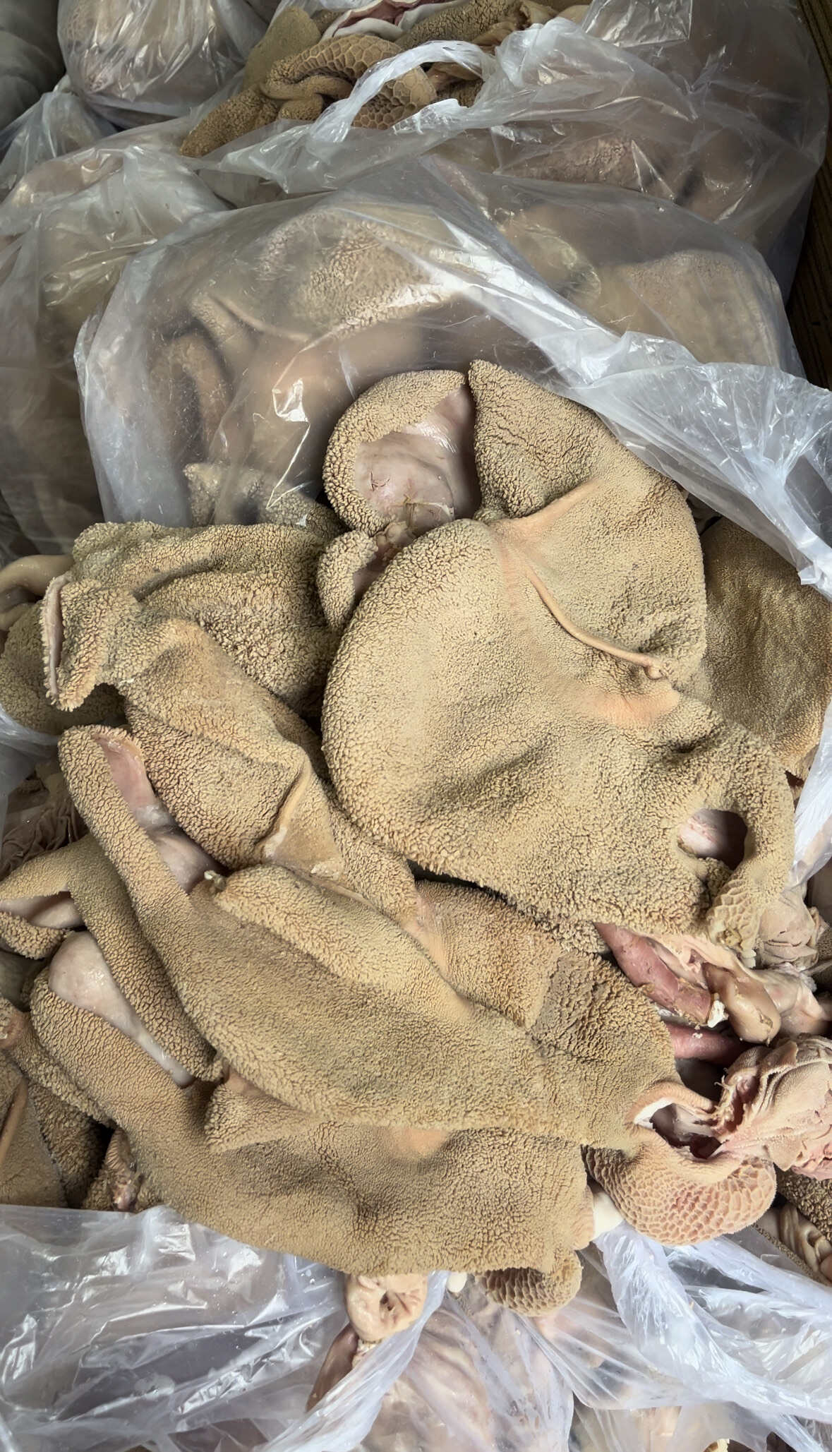 羊肚，黄毛肚，全熟五香纯干