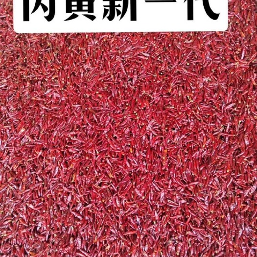 内黄县内黄新一代 批发零售