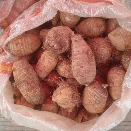 昆明云南高原牛奶山芋头