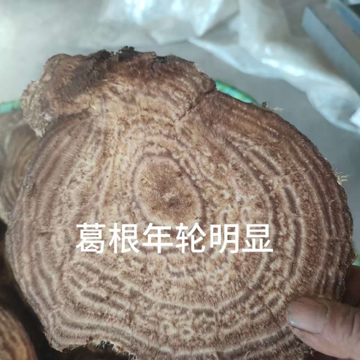 新县柴葛根片，大别山纯野生葛根切片烘干
