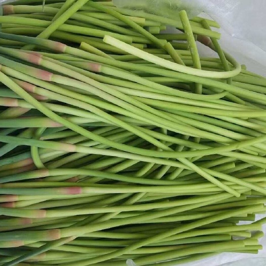 平邑县蒜苔大蒜