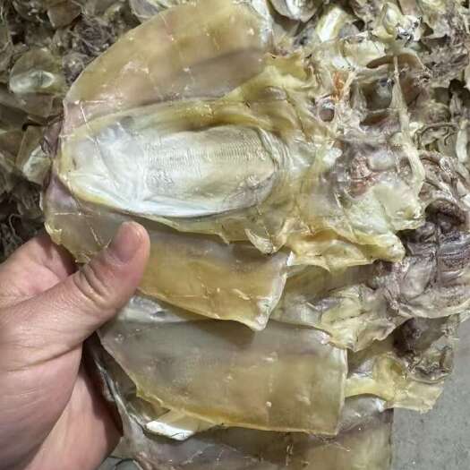 日照墨鱼干 各种规格墨鱼干 品种全 质量优良 欢迎新老客户前来选