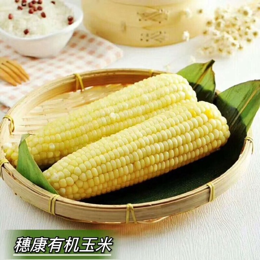 张家口冻/熟玉米