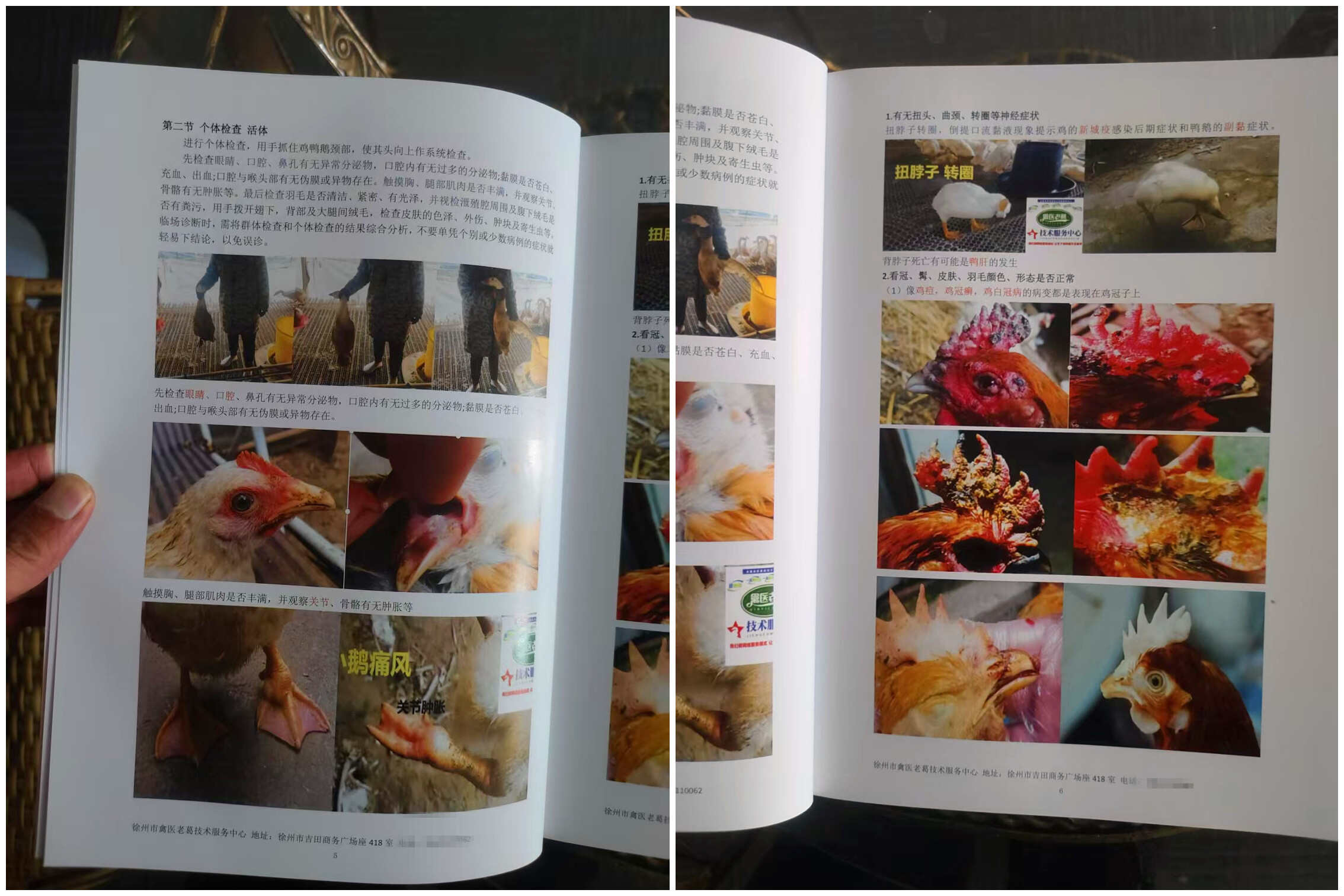 禽病诊断技术教程