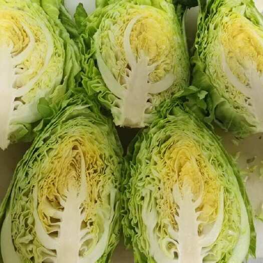 武汉自种尖包，专属种植区，人工除草，物理防虫，还原本味！生吃微甜