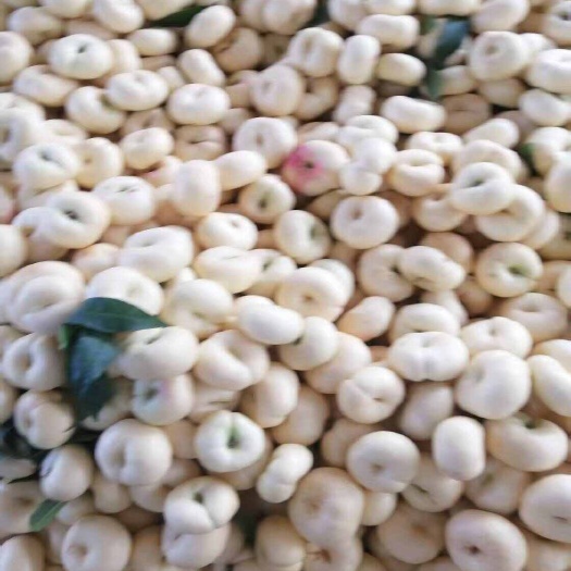 蒙阴县桃子油盘
