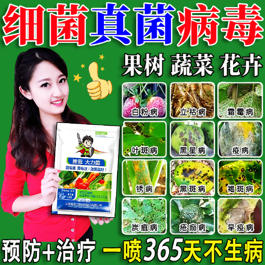 番茄辣椒黄瓜茄子豆角药病全治疾病清叶斑病枯萎根腐病黄叶万菌清