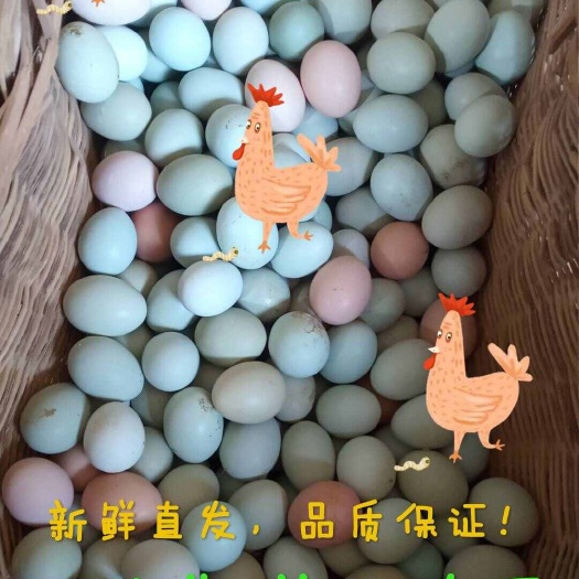 钟祥市散养土鸡蛋 开窝蛋 草鸡蛋柴鸡蛋 粉壳蛋绿壳蛋精品蛋