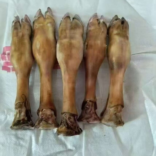 火烧牛蹄