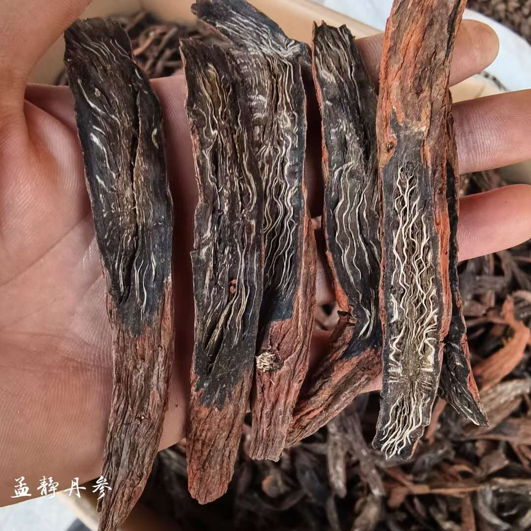 正品山东丹参片紫丹参 丹参个【假一赔十】