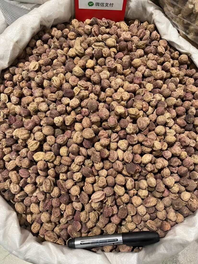 正品阳春砂仁中药材 实惠装 亳州产地直发假一赔十