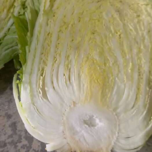 寿光市出售优质矮颗黄心大白菜