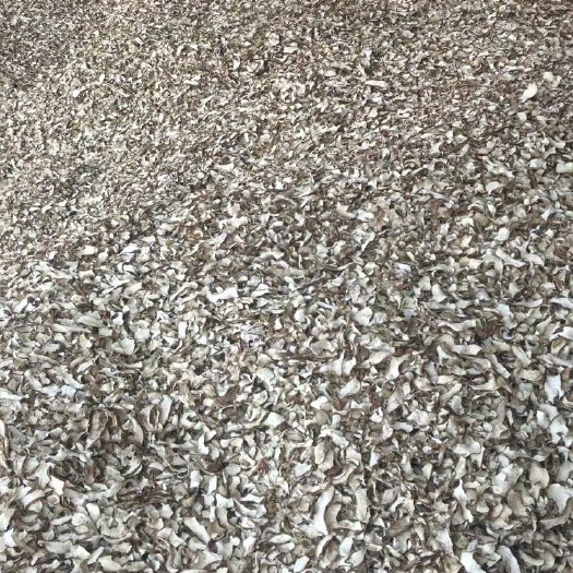 陆良县绵萆薢