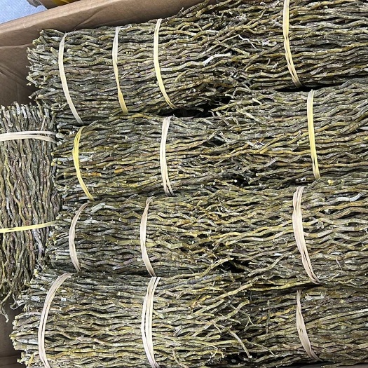 昆明云南铁皮石斛捆条现货 精选好货